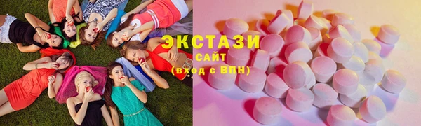 ECSTASY Богданович