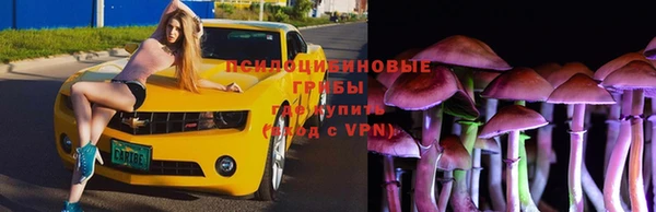 ECSTASY Богданович