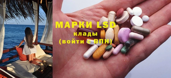 ECSTASY Богданович