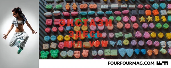 ECSTASY Богданович