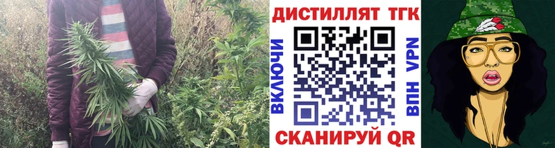 ТГК Wax  Купить закладки  Судак 