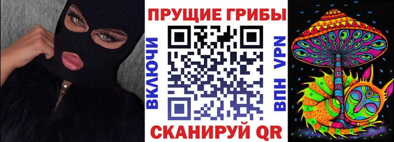 Купить закладки  Судак  Галлюциногенные грибы MAGIC MUSHROOMS 